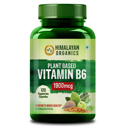 Himalayan Organics Plant-Based Vitamin B6 | Supports Immunity, Brain Health (120 Capsules)