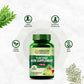 Himalayan Organics Plant-Based Iron Supplement With Folate | Improved Hemoglobin & Oxygen Capacity | Stomach Friendly | Boost Energy - 60 Veg Capsules