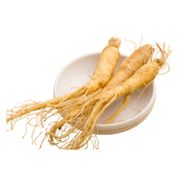 Ginseng