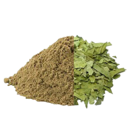 Gurmar