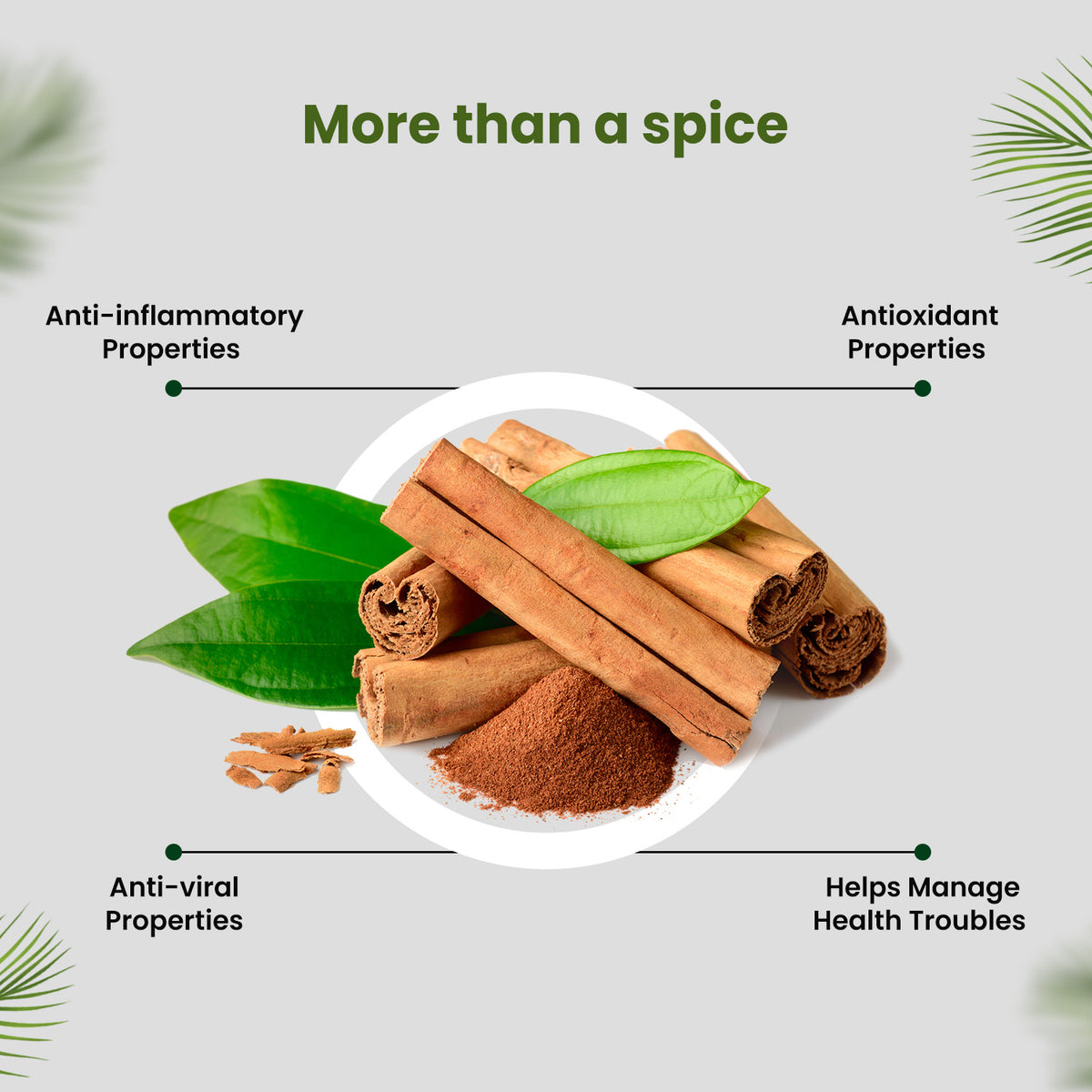 Organic Benefits Of Cinnamon