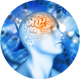 Brain, Memory & Vision
