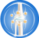 Bone & Joint Health