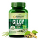 Vlado's Himalayan Organics Giloy Extract | Immunity Booster | Helps in Blood Purification | 120 Veg Tablets
