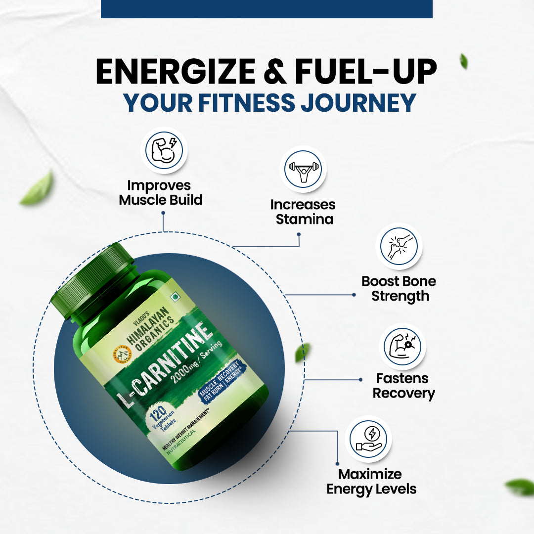 L Carnitine Supplement Best for Fat Burn and Supports Muscle Recovery – Vlado's Himalayan Organics