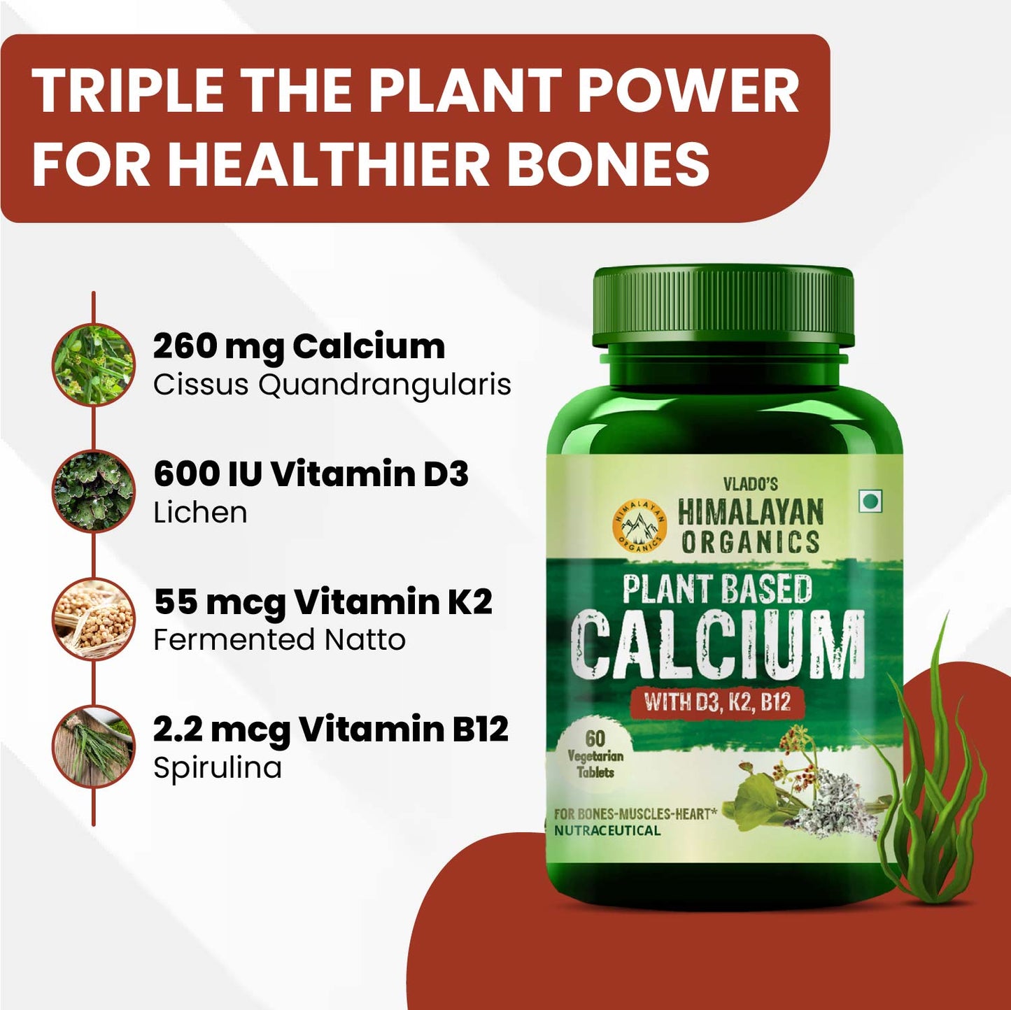 Vlado's Himalayan Organics Plant Based Calcium 650mg Supplement For Better Absorption | Healthy Bones And Heart | Recovery And Joint Support  - 60 Veg Tablets