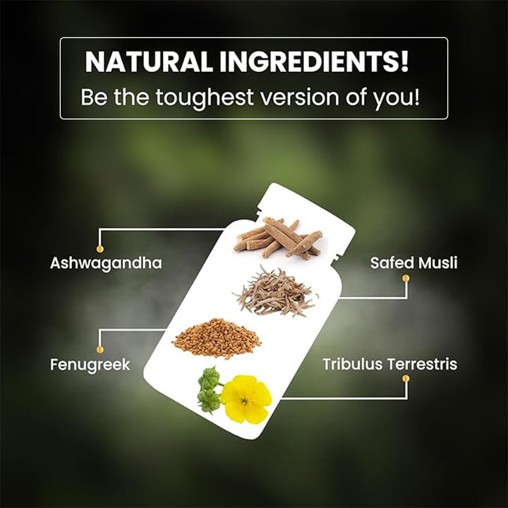 Vlado's Himalayan Organics Testosterone Booster | Supports Muscle & Energy Boost | With Tribulus, Ashwagandha & Safed Musli & Zinc | 90 Veg Tabs