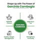 Vlado's Himalayan Organics Garcinia Cambogia Supplement for Weight Management - 60 Veg Capsules