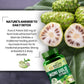 Vlado's Himalayan Organics Noni Gold Extract Body Detoxifier Supplement - 90 Veg Capsules