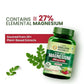 Vlado's Himalayan Organics Plant Based Magnesium Supplement 1360mg With Turmeric Spirulina, Wheatgrass, Moringa | Supports Bone Muscle & Bone Health | Boost Energy Level - 60 Veg Tablets