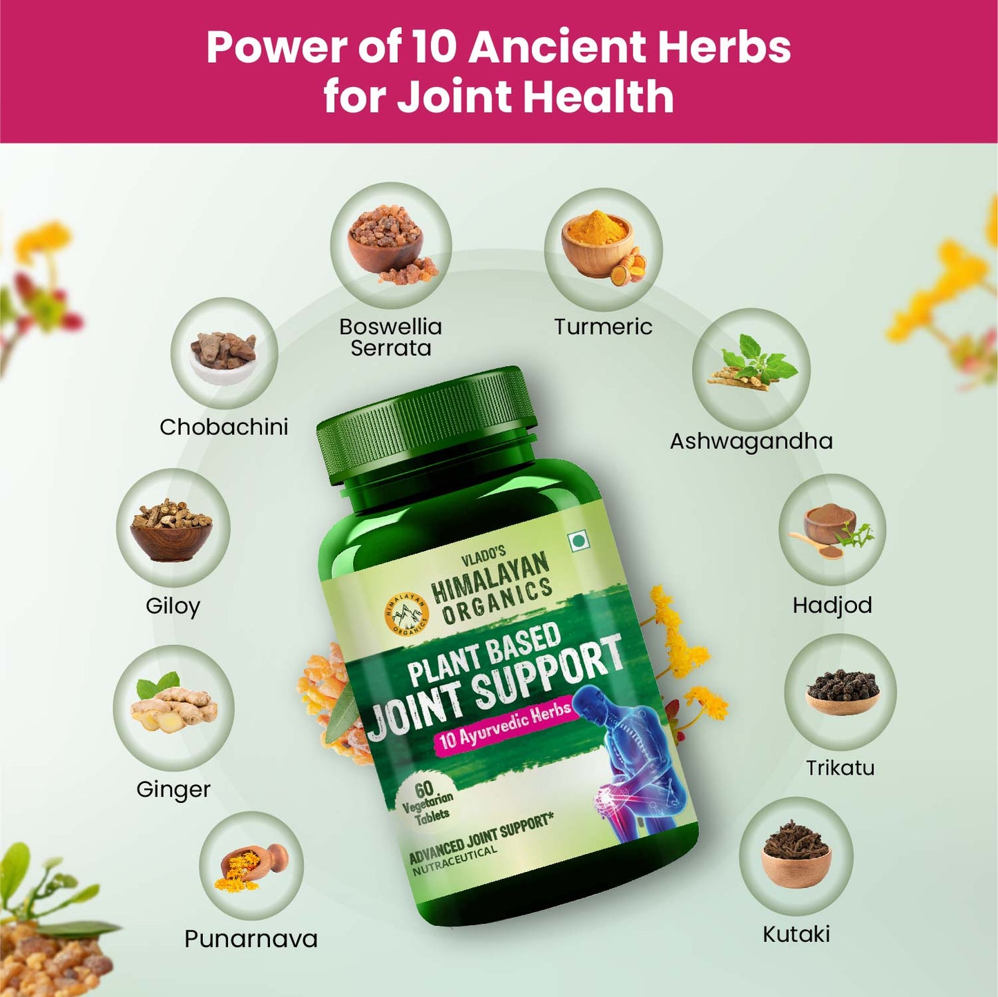 Vlado's Himalayan Organics Plant Based Joint Support With Boswellia Serrata | Amla, Alfalfa, Turmeric, Moringa + 10 Ayurvedic Herbs | Strong Bones & Relives Joint Pain | Better Flexibility For Men & Women - 60 Veg Tablets