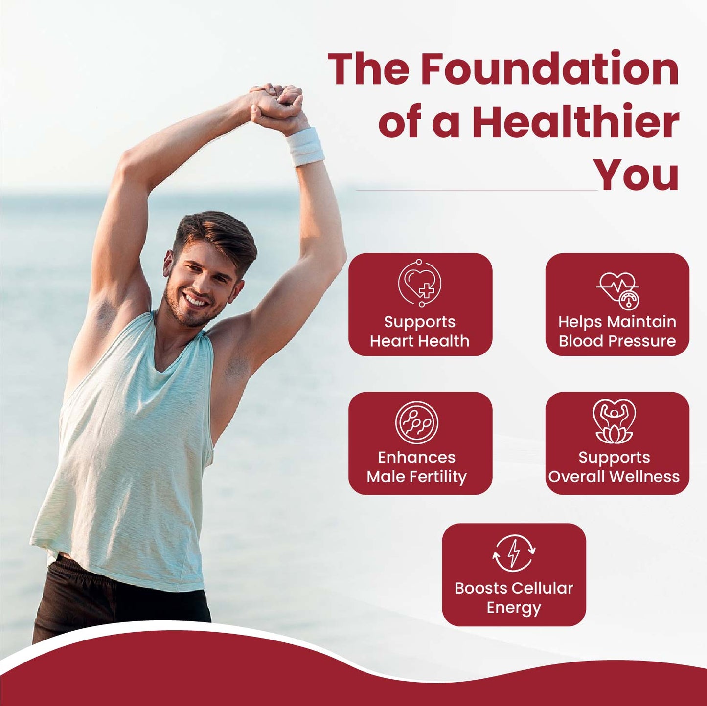 Vlado's Himalayan Organics CoQ10-200mg With BioPepper - 5mg , COENZYME Q-10 Supplement | High Absorption I Antioxidant Support Healthy Heart Boost Energy And Metabolism High Strength For Men And Women - 60 Veg Capsules
