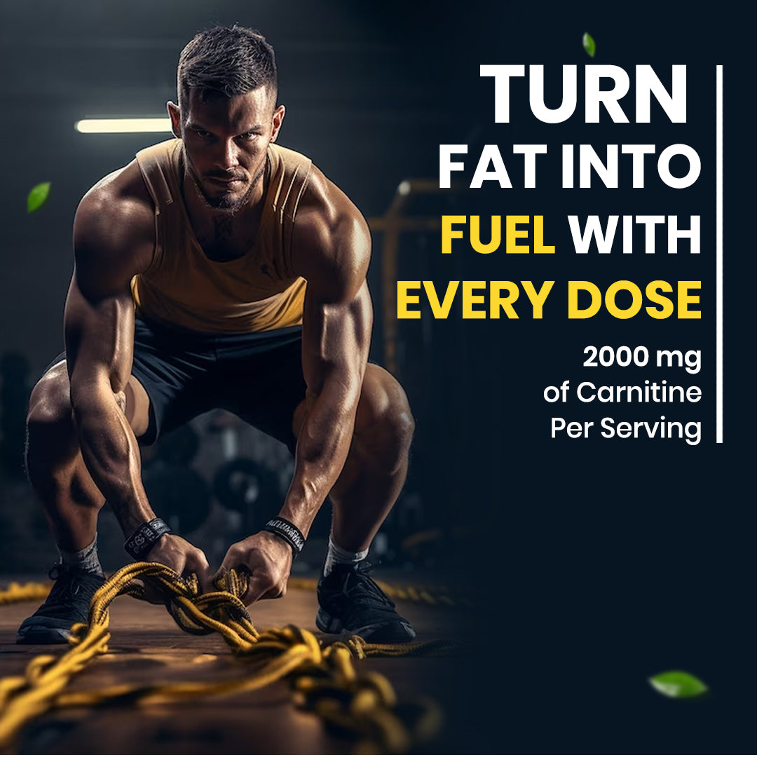 l carnitine l tartrate dosage bodybuilding What Is L-Carnitine? How Does It Work? L-Carnitine 3150 Carnitine Liquid 16oz