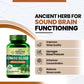 Vlado's Himalayan Organics Ginkgo Biloba for Healthy Brain Functions - 60 Capsules