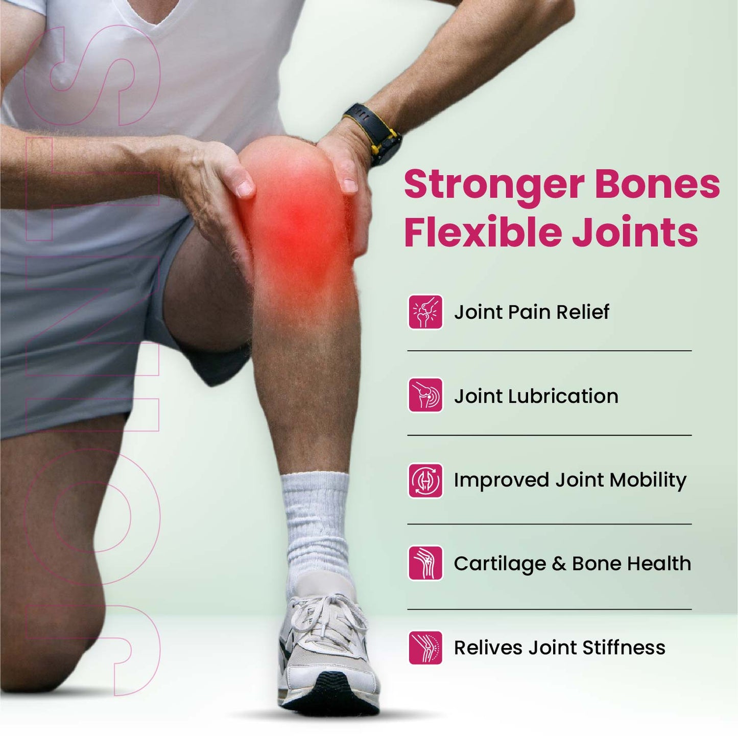 Vlado's Himalayan Organics Plant Based Joint Support With Boswellia Serrata | Amla, Alfalfa, Turmeric, Moringa + 10 Ayurvedic Herbs | Strong Bones & Relives Joint Pain | Better Flexibility For Men & Women - 60 Veg Tablets