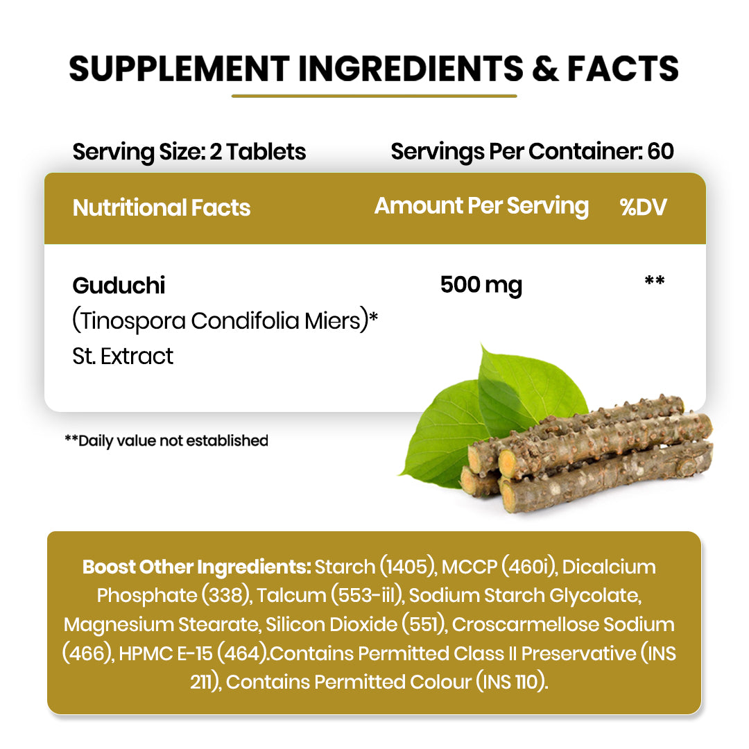 Vlado's Himalayan Organics Giloy Extract | Immunity Booster | Helps in Blood Purification | 120 Veg Tablets