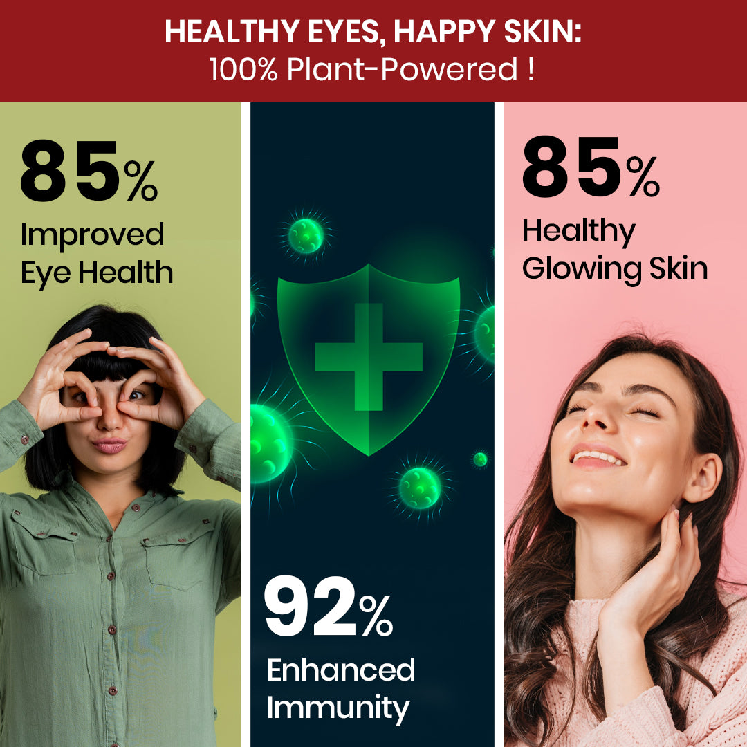 Vlado's Himalayan Organics Plant-Based Vitamin A Supplement Supports Healthy Eye Sight | Natural Anti-Oxidant (120 Capsules)