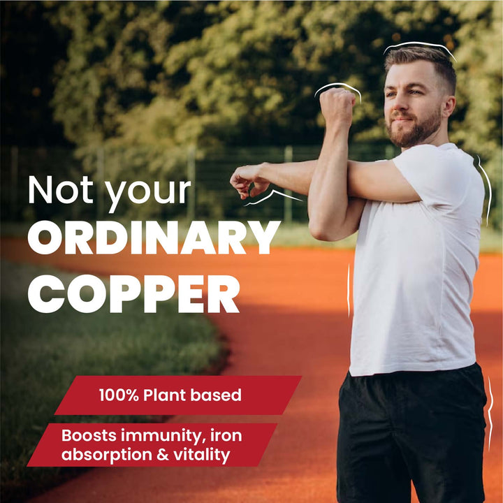 Vlado's Himalayan Organics Plant Based Copper 1700mcg with Green Tea Extract | Support Connective Tissues | Good For Bone Health - 120 Veg Capsules