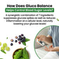 Vlado's Himalayan Organics Plant Based Gluco Balance with Jamun, Bittermelon, Amla, Gudmar, Chirayta Extracts | 60 Veg Tablets