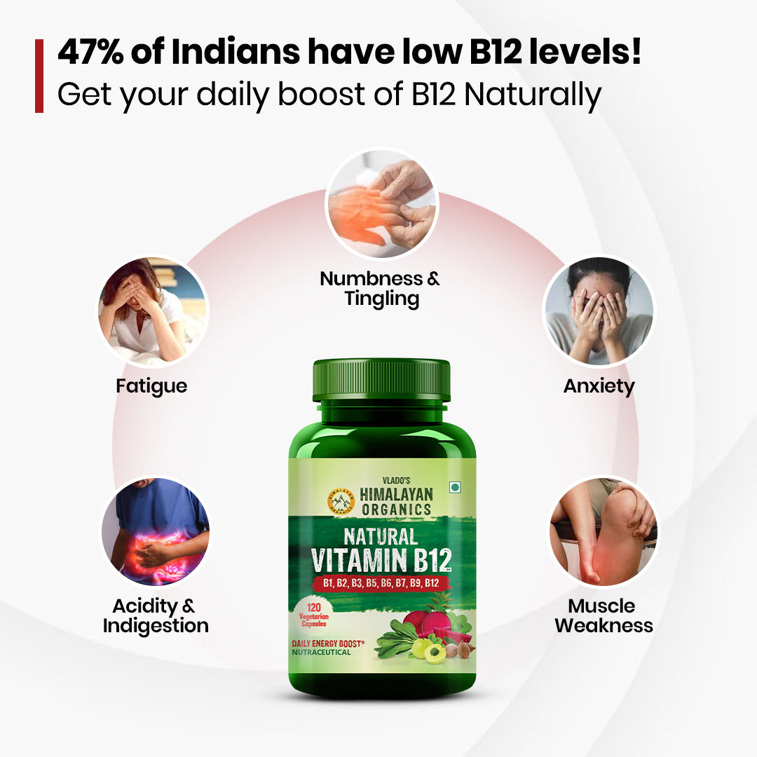 Vlado's Himalayan Organics Natural Vitamin B12 Supplement | B1,B2,B3,B5,B6,B7,B9,Moringa| Boost Energy Level | Good For Digestion And Nerve Health | Glowing Skin For Men & Women - 120 Vegetarian Capsules