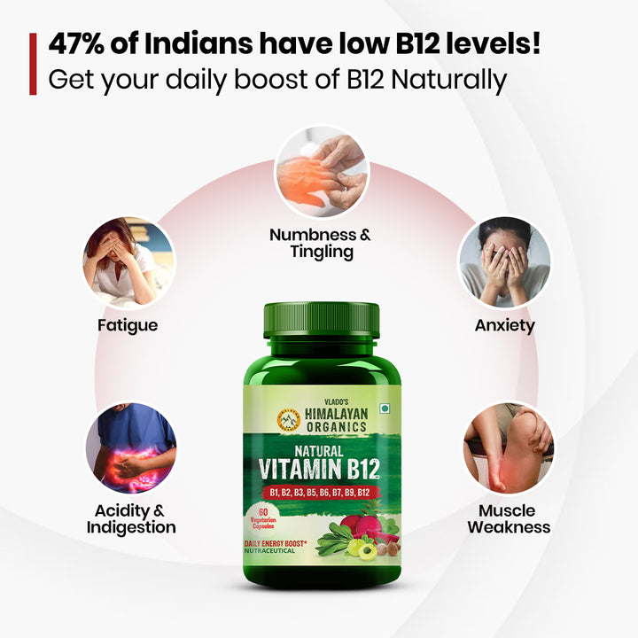Vlado's Himalayan Organics Natural Vitamin B12 Supplement- with Vitamin B1,B2,B3,B5,B6,B7,B9,Moringa | Support Nerve Health & Brain Function I Energy Production, Energy, Maximize Absorption, Boost Metabolism I For Men & Women - 60 Vegetarian Capsules