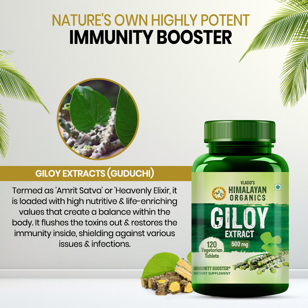 Vlado's Himalayan Organics Giloy Extract | Immunity Booster | Helps in Blood Purification | 120 Veg Tablets