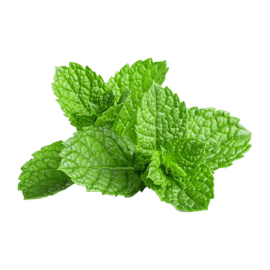 Mint