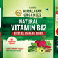 Vlado's Himalayan Organics Plant Based Vitamin B12 Natural- 60 Veg Capsules