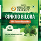 Vlado's Himalayan Organics Ginkgo Biloba for Healthy Brain Functions - 60 Capsules