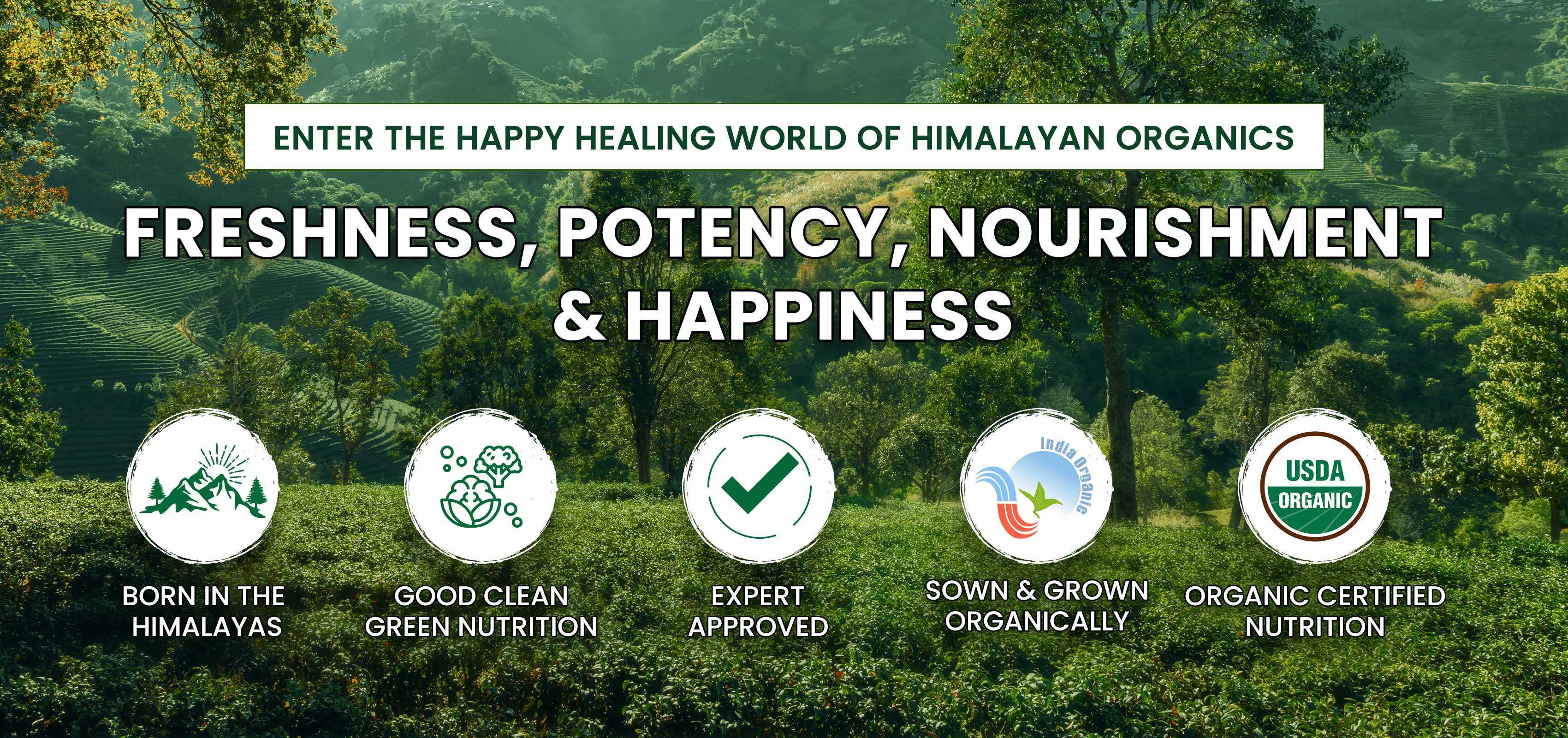 Upgrade Wellness with Himalayan Organics Plant-Based Health Supplement ...