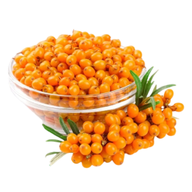 Sea-Buckthorn