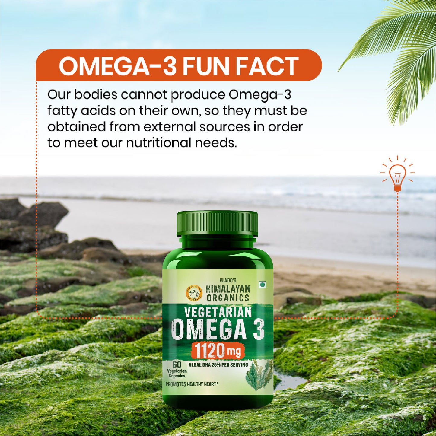 Vlado's Himalayan Organics Vegetarian Omega 3 - 1120 MG Supplement | 3X Strength | Veg DHA | Vegetarian Omega 3 | Algal DHA | Plant Based | No Fish oil Used I Healthy Heart, Joints & Eyes I Omega Capsules for Men & Women- 60 Veg Capsules
