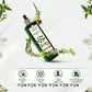 Himalayan Organics Bhringraj Oil - Controls Hair Fall - Promotes Hair Growth - 200ml