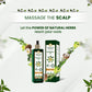 Himalayan Organics Bhringraj Oil - Controls Hair Fall - Promotes Hair Growth - 200ml