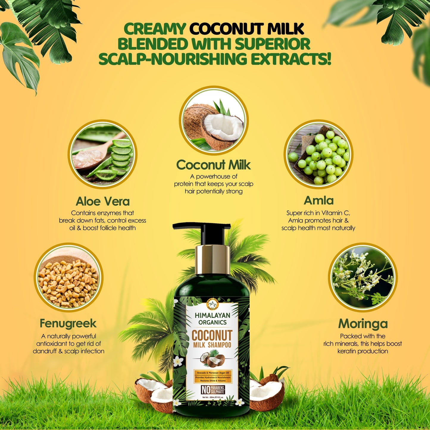 Ingredients of Coconut Milk Shampoo Aloe Vera, Amla, Moringa, Fenugreek | Himalayan Organics 