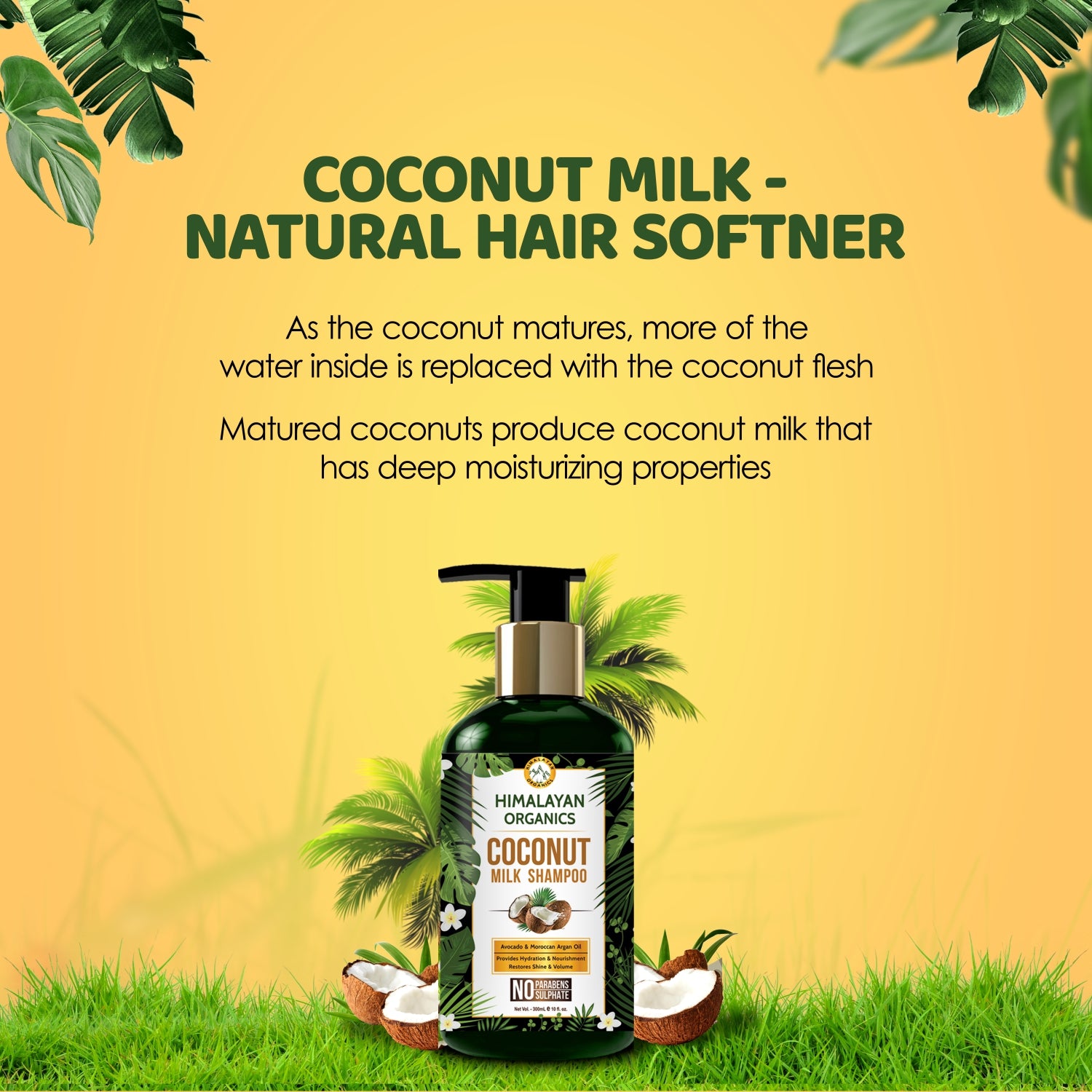 Himalayan Organics | Coconut Milk Shampoo with No Parabens, Sulphates, & Silicones 300ml