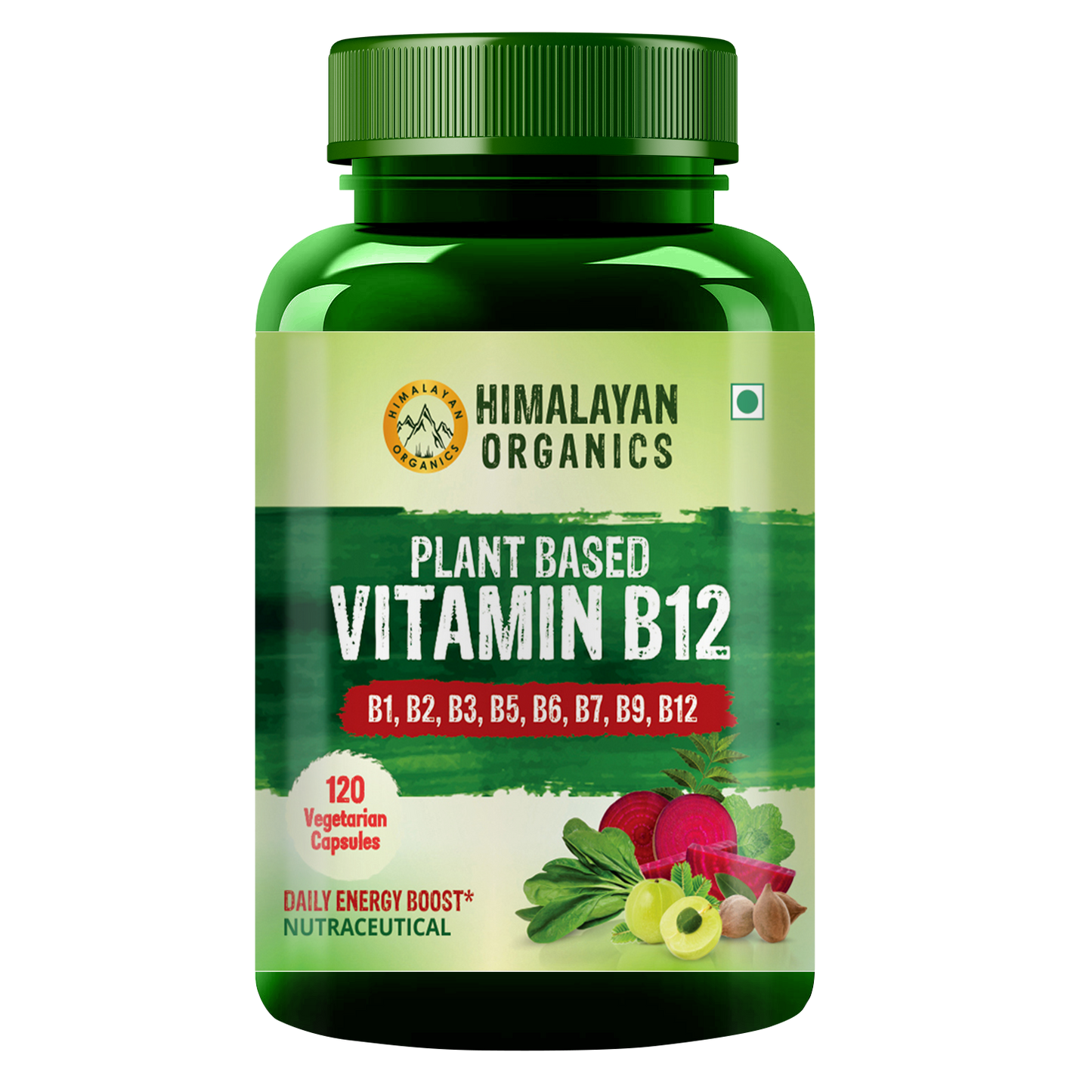 Himalayan Organics Plant Based Vitamin B12 Supplement | B1,B2,B3,B5,B6,B7,B9,Moringa| Boost Energy Level | Good For Digestion And Nerve Health | Glowing Skin For Men & Women - 120 Vegetarian Capsules