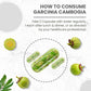 Himalayan Organics Garcinia Cambogia Supplement for Weight Management - 60 Veg Capsules