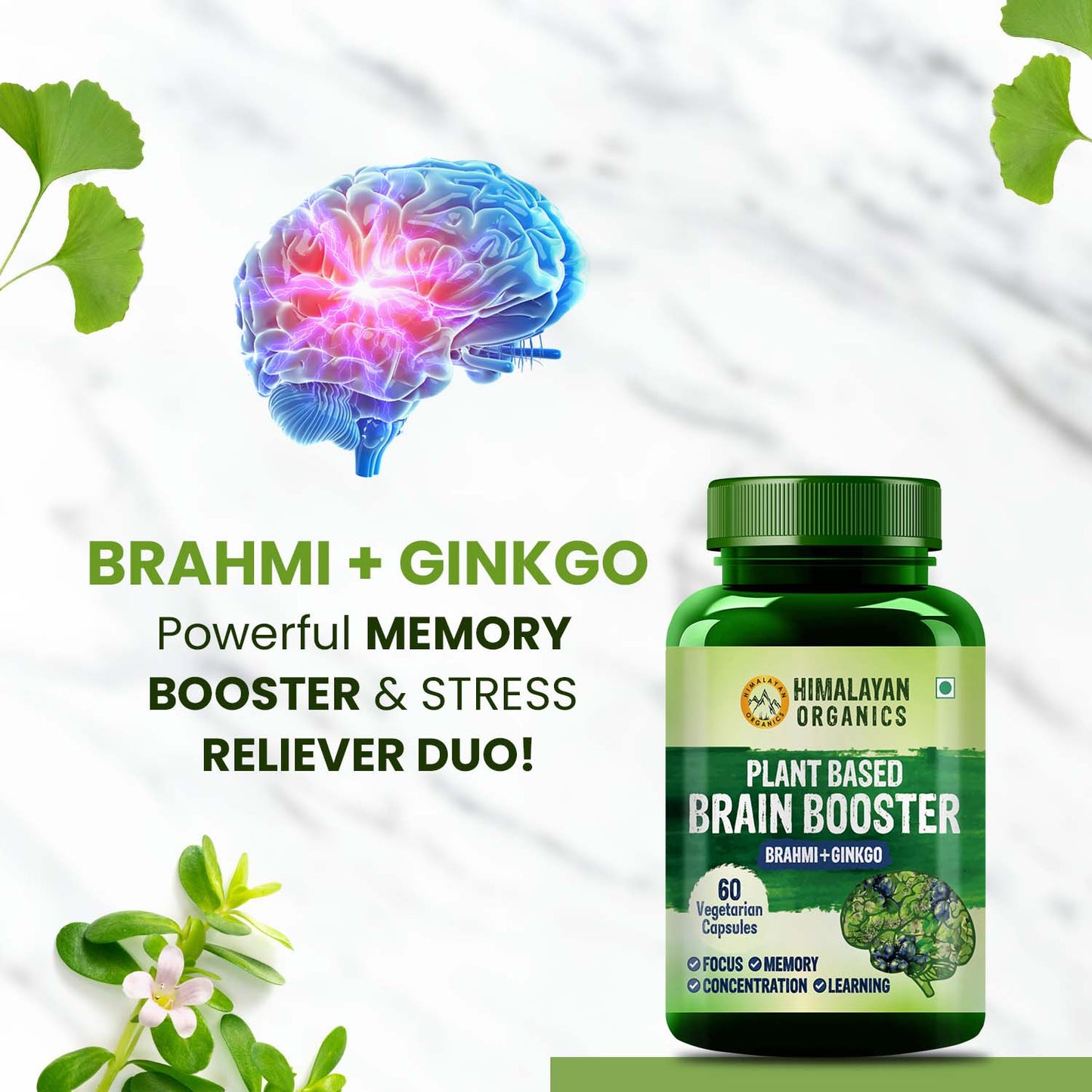 Himalayan Organics Plant Based Brain Booster Supplement with Ginkgo Biloba & Brahmi | Boost concentration & Learning Activities | 60 Veg Capsules