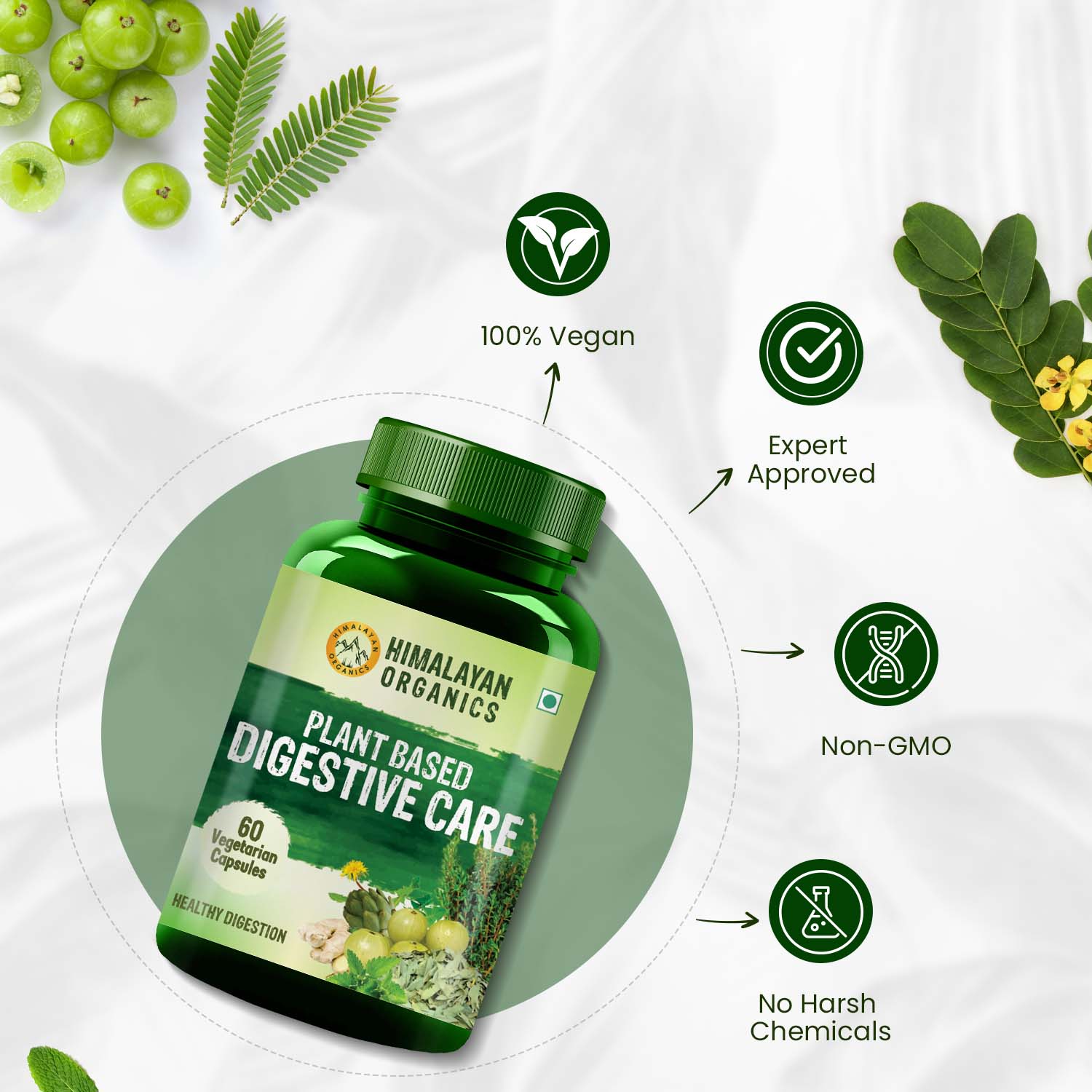 Vlado's Himalayan Organics Plant Based Digestive Care 500 Per Serve 60 Veg Capsules