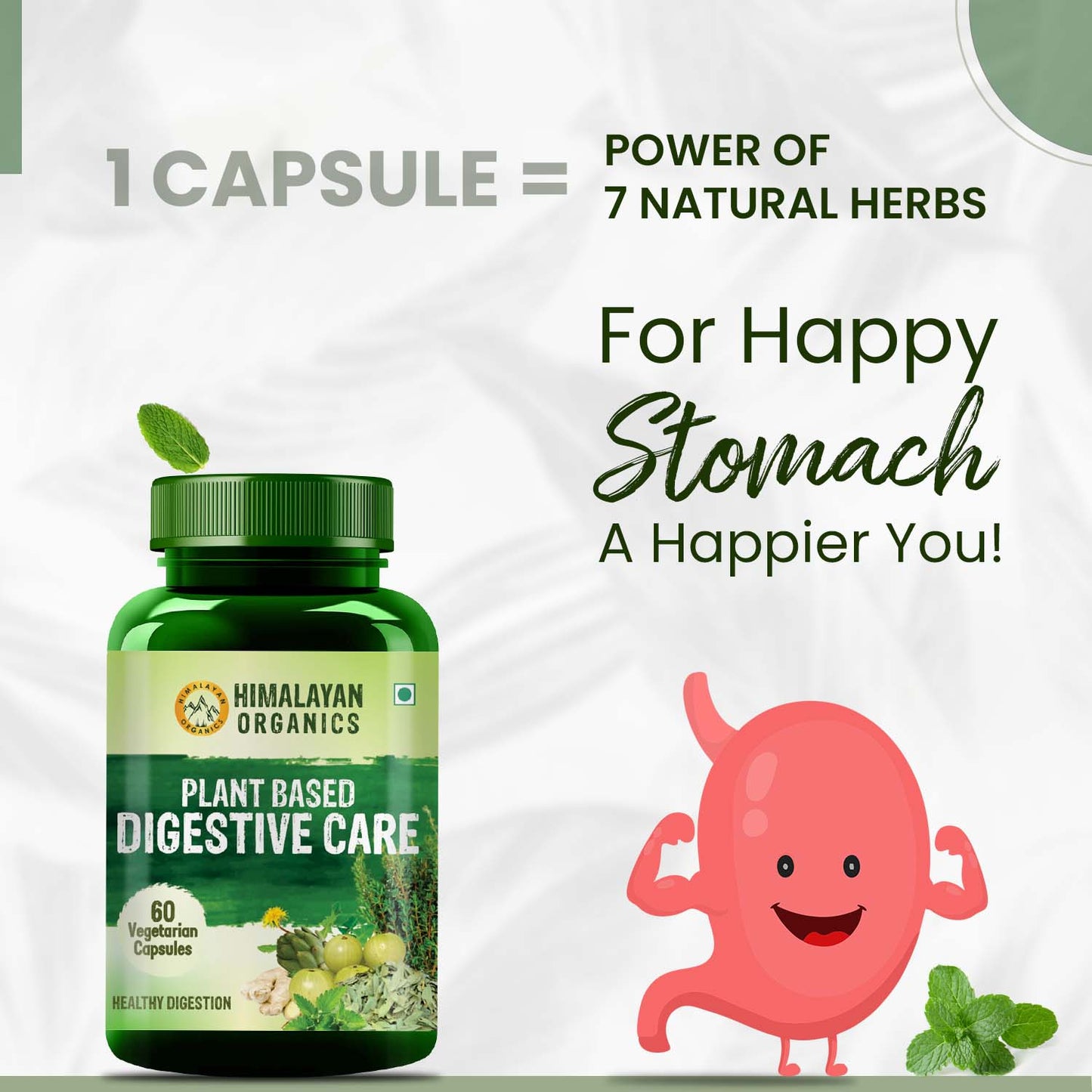 Vlado's Himalayan Organics Plant Based Digestive Care 500 Per Serve 60 Veg Capsules