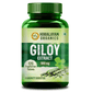 Himalayan Organics Giloy Extract 500mg Immunity Boosters - 120 Veg Tablets 