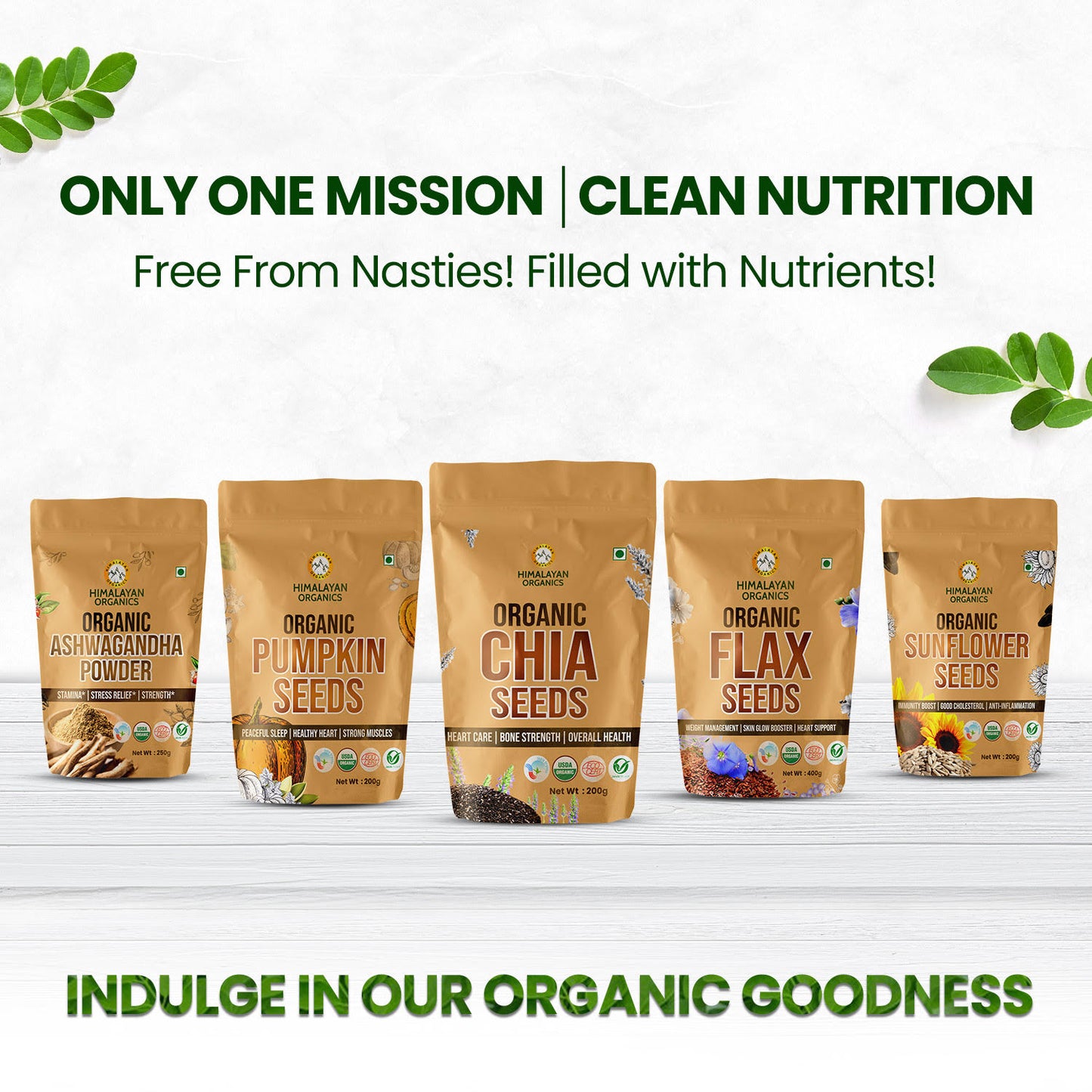 Himalayan Organics Certified Organic Moringa Powder (Moringa Oleifera) - Herbal Supplement for Overall Wellness- 350g